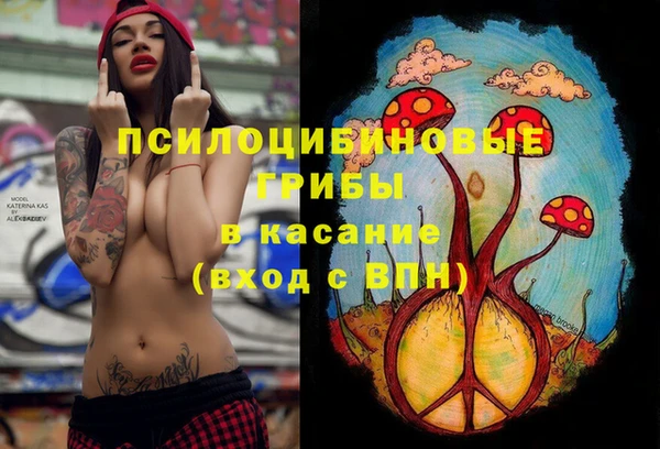 наркотики Каменка