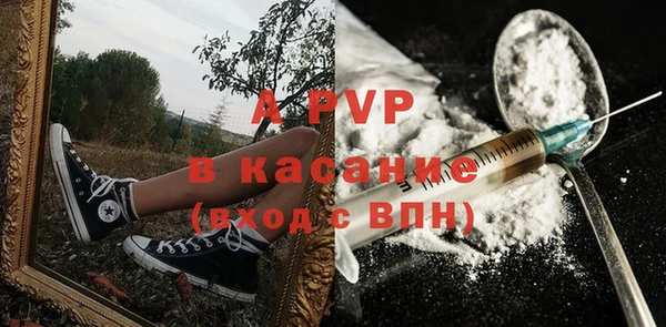 стафф Каменногорск