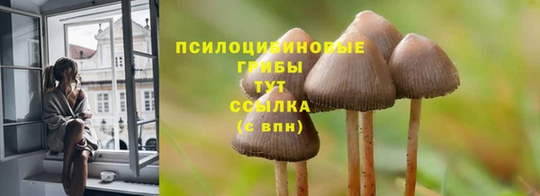 наркотики Каменка
