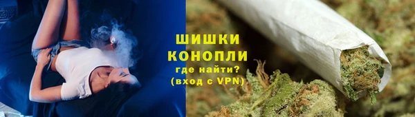 стафф Каменногорск