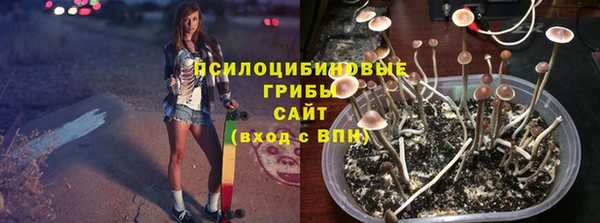 стафф Каменногорск