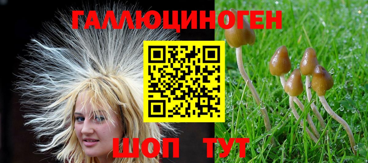 Галлюциногенные грибы GOLDEN TEACHER Усть-Кут